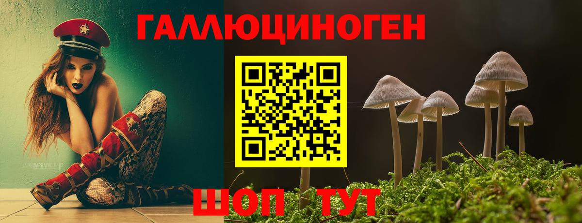 Псилоцибиновые грибы Magic Shrooms Киселёвск